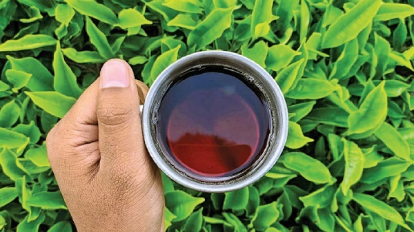 锡兰红茶 (9)