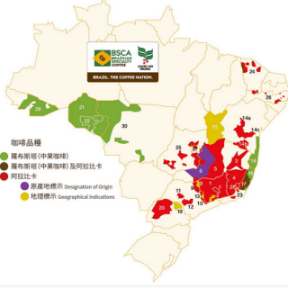 采收后的中心加工如何能增加种植者收入和促进可持续性