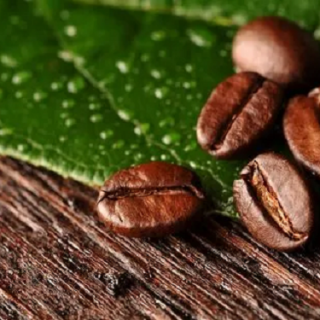 全自动咖啡包装机-KST教您如何筛选咖啡豆？