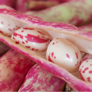 全自动电子秤坚果种子包装机-蔓越莓豆适合如何食用？
